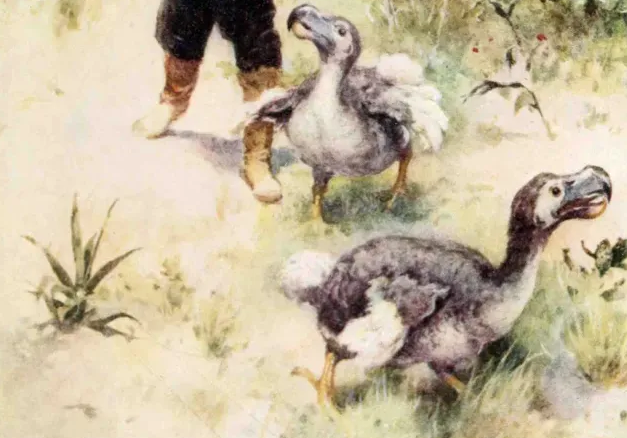 Animales extintos por la mano del hombre