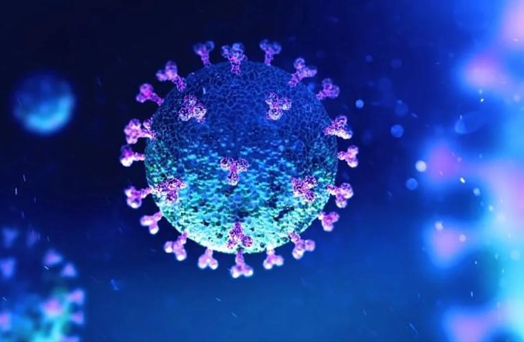 El origen del coronavirus